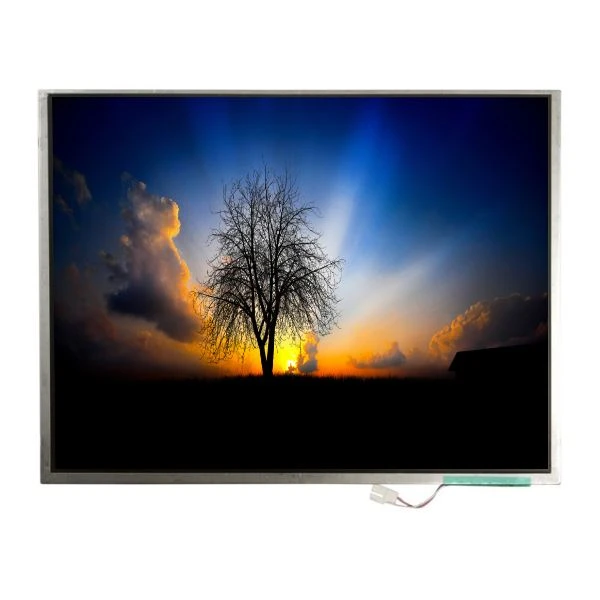 12,1-инчов LTM12C505N 105PPI Tft LCD модул с лаптоп